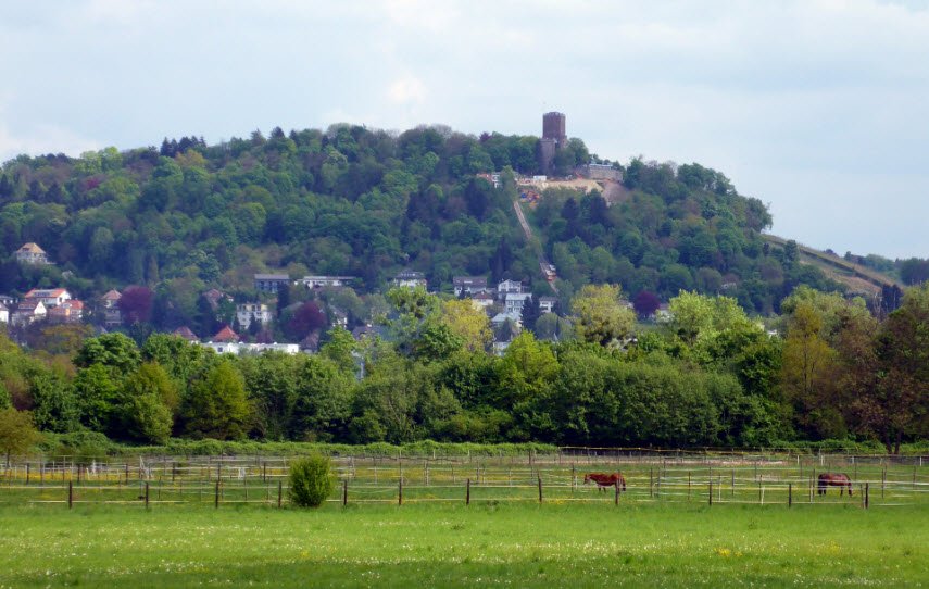Turmburg-Ruine Walluf, Walluf, Germany, Germany
